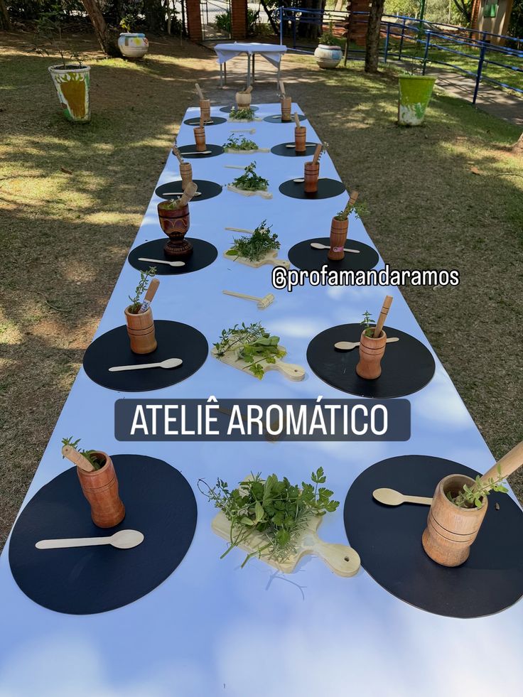 No nosso ateliê aromático as crianças trabalharam com alecri