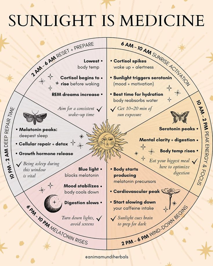 👉 Get these pages as a free PDF download. Embrace a holistic