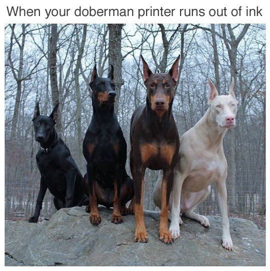 Pinterest