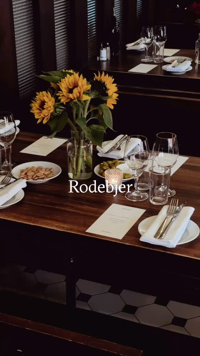 When in good company, wear Rodebjer.

Last week, we gathered