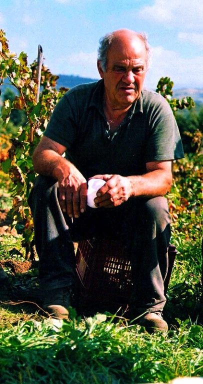the man, the land, the wine http://www.hotelsinsardinia.org/