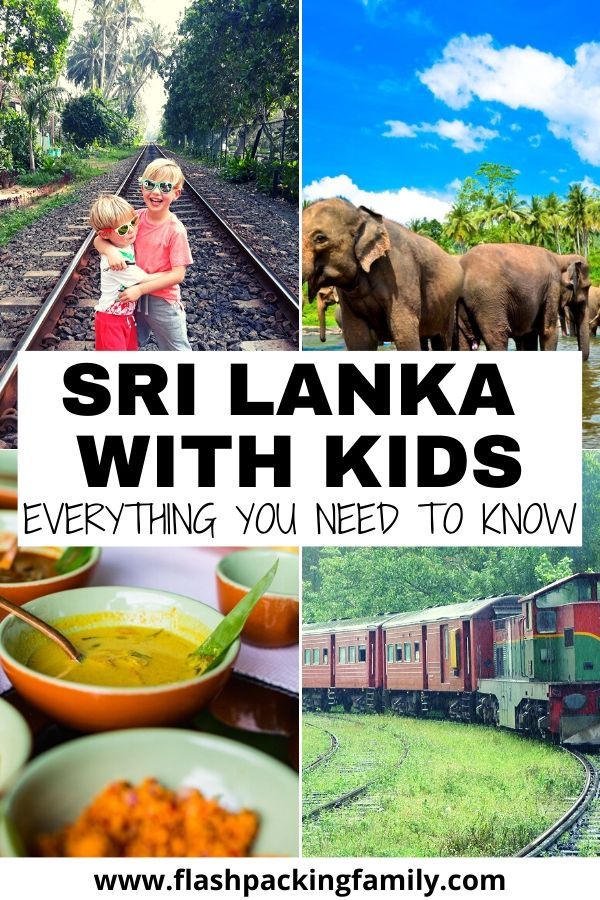 Planning a trip to Sri Lanka with Kids? Our guide includes a