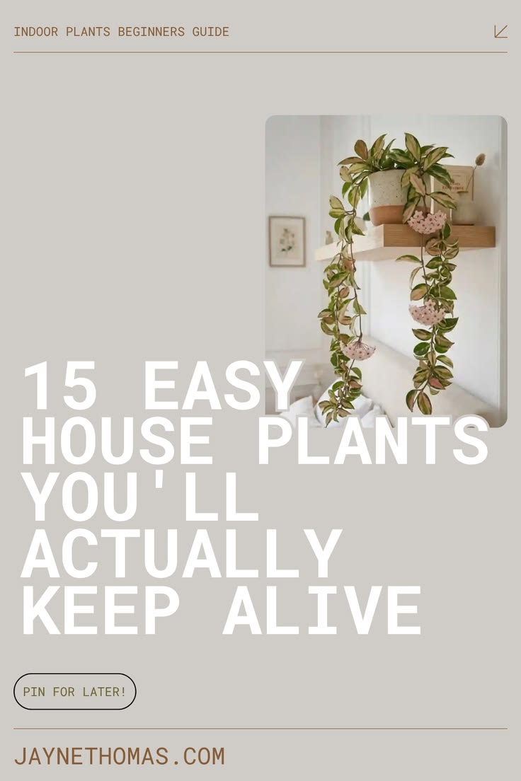 House plants and indoor plants don't have to be difficult. D