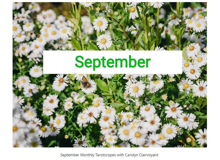 September 2024 Tarotscopes with Carolyn Clairvoyant covering