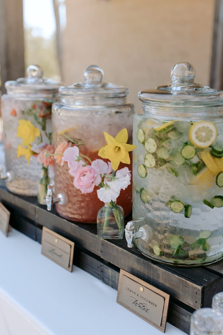 Cucumber Lemon Water, Blackberry & Rosemary Lemonade, Strawb