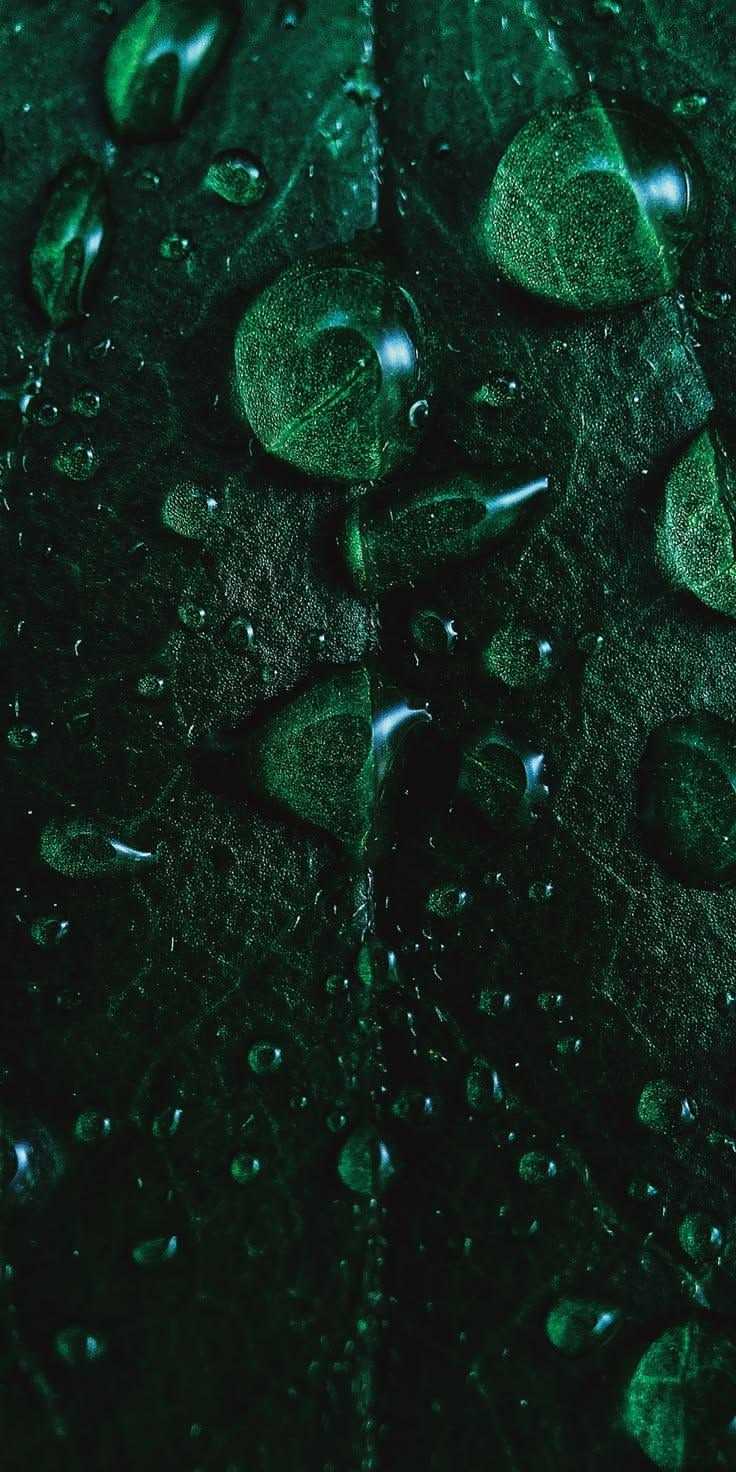 Lade das Emerald-Dewdrop-Hintergrundbild herunter, um deinen