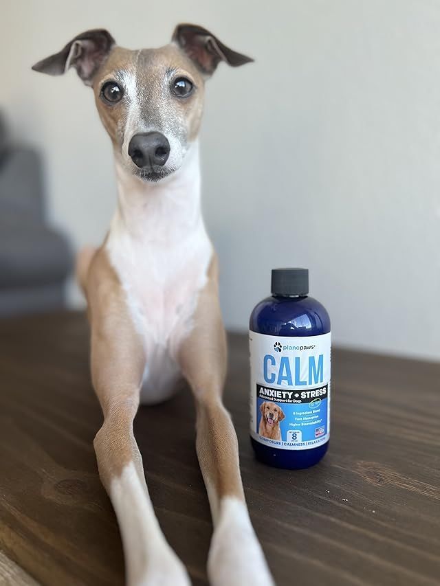 The natural way to a calmer dog. 🌿🐕 #PetCalm