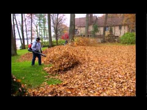 Leaf Collection, Pickup & Landscaping Service | Alpine Lands