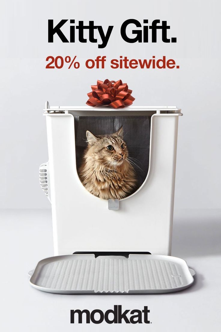 Black Friday Sale! Take 20% off our cat litter boxes and acc