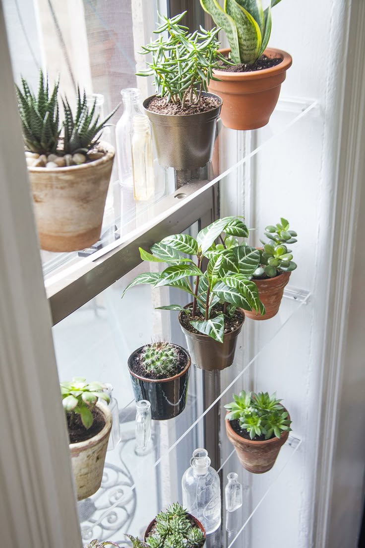 DIY Floating Window Shelves by Jessica Marquez for Design Sp