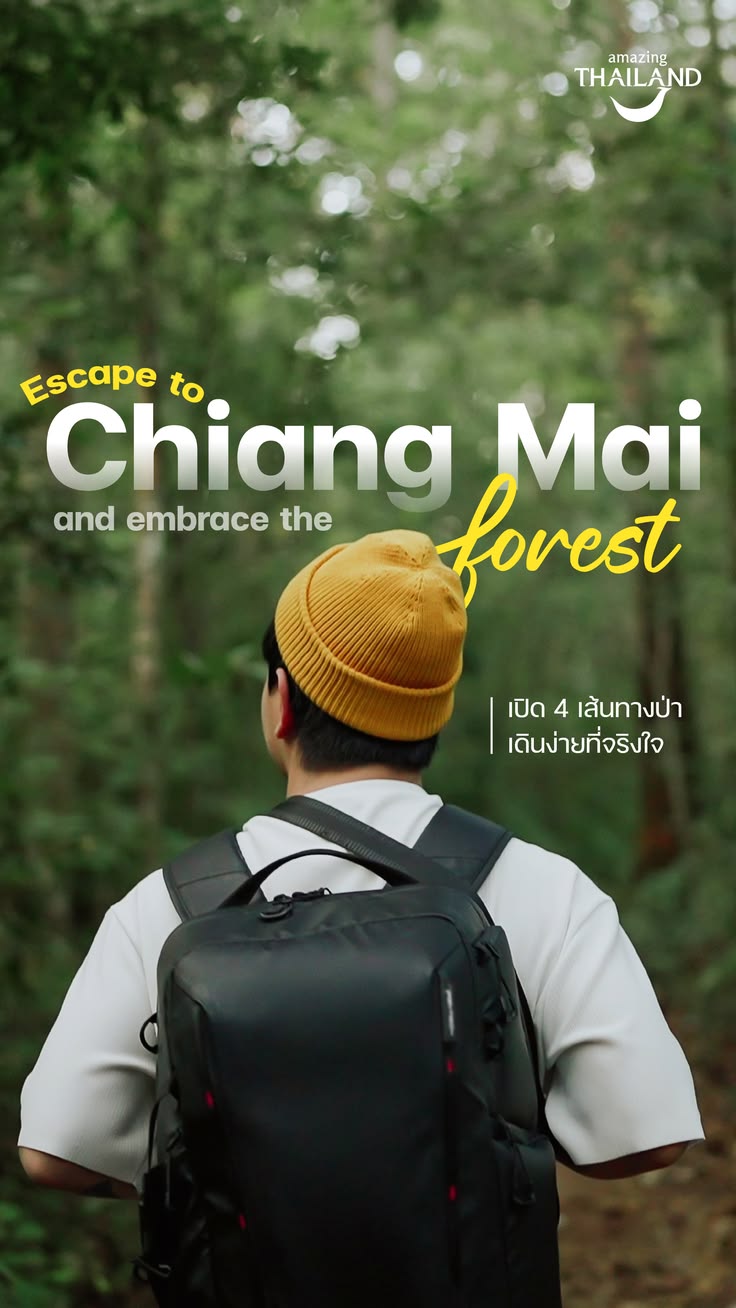 Thinking about hiking in Chiang Mai? 🌿🥾 Here are 4 beginner-
