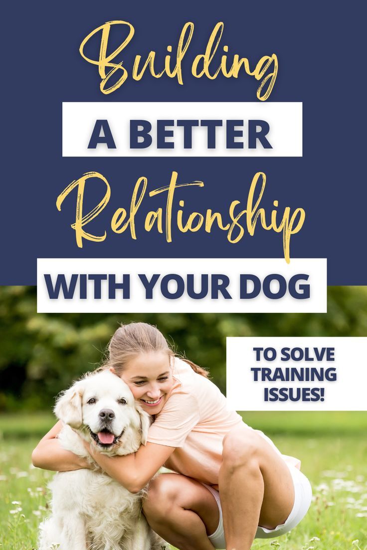 Learn how to form a better relationship with your sporting d