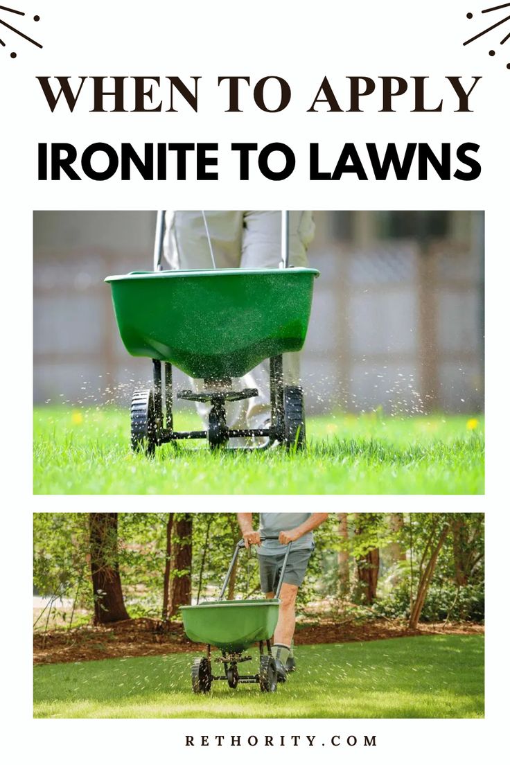Ironite is the secret weapon for vibrant lawns. Discover how