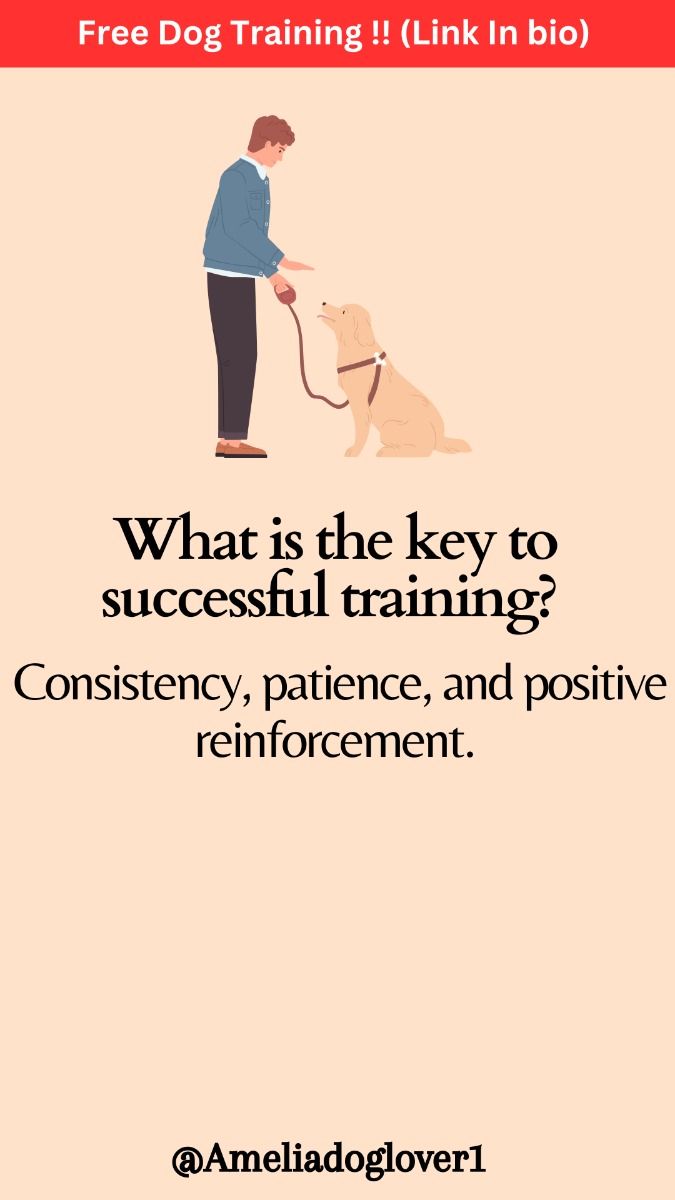Consistency, patience, and positive reinforcement.

#dogtrai