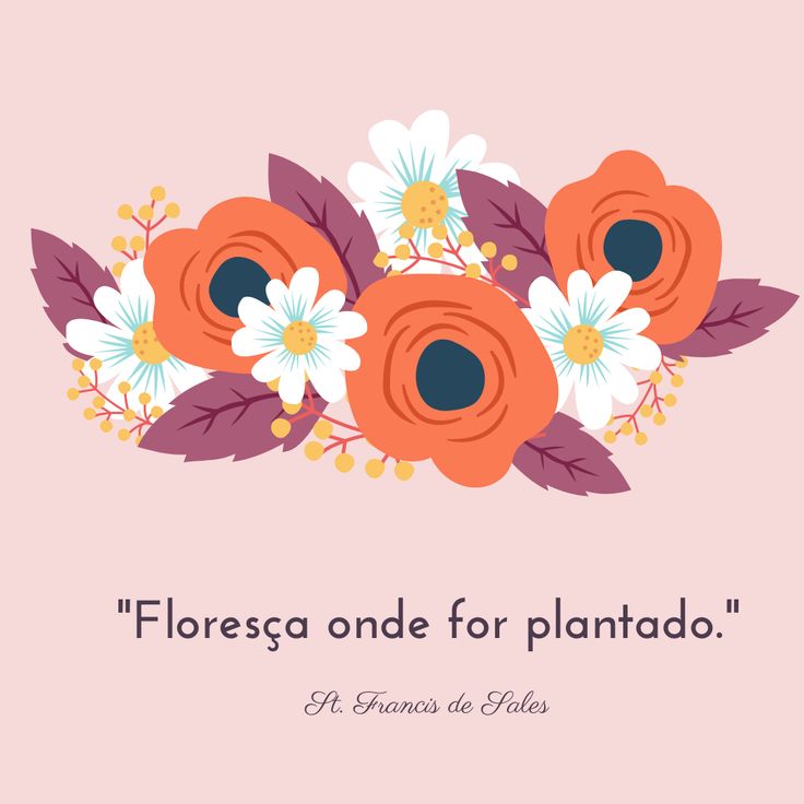 🌺🌻🌹Hoje começa a estação mais linda do ano 🌷🌼🌸 . . . . #prim