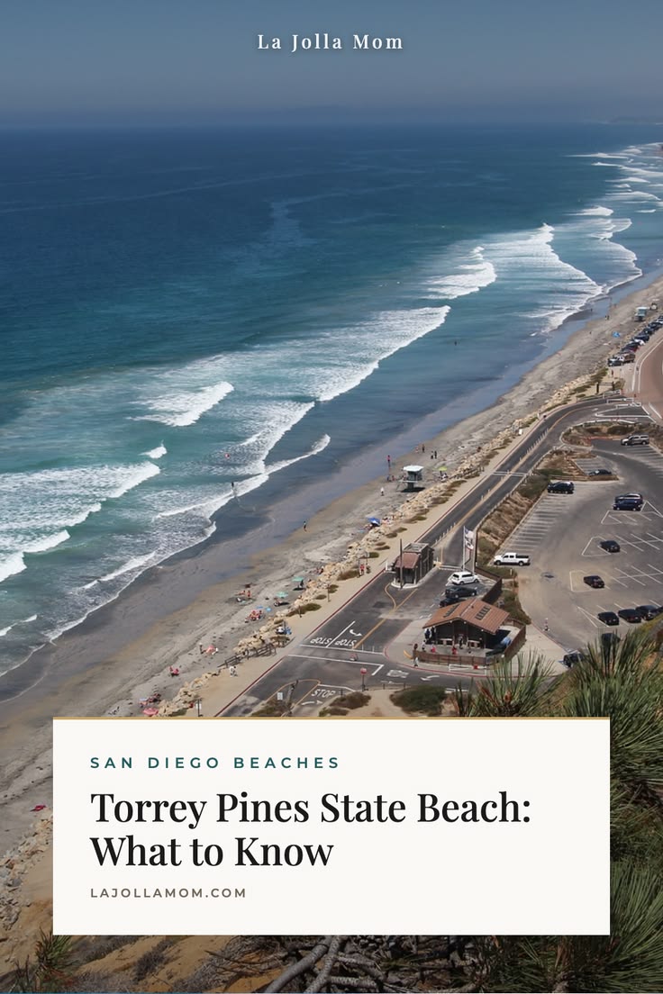 Torrey Pines State Beach, what to know before you go: when t