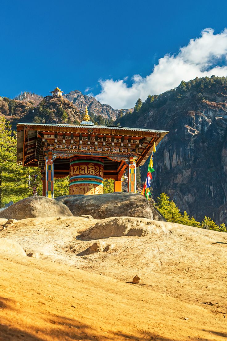 🚶‍♂️ Sur la route de Goemba Tigers

Un pèlerin solitaire pro