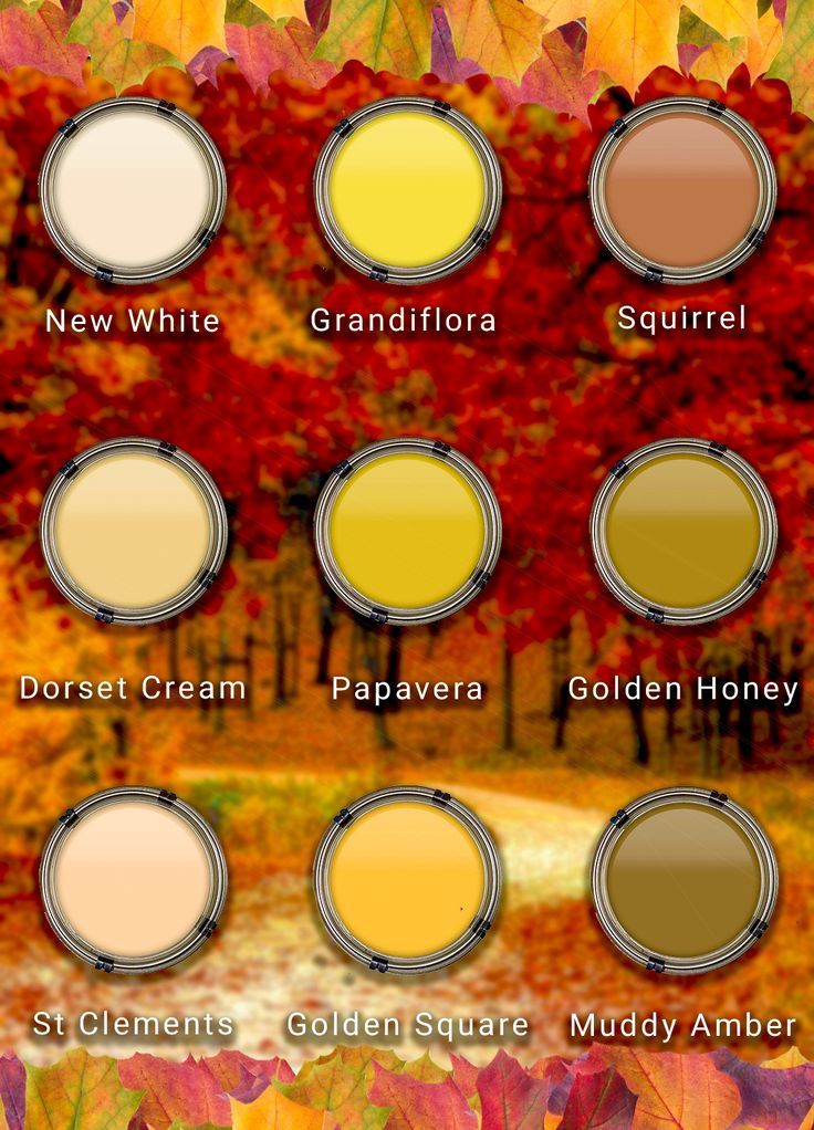 Check out our Autumn paint palette boasting golden leaves, d