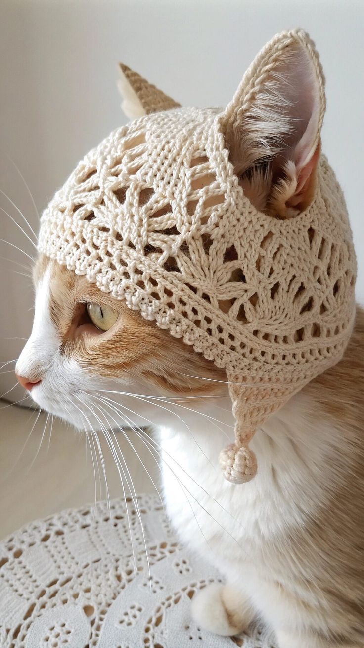 Crochet & Knitting - Crochet Cat Hat😍😍 | Facebook
