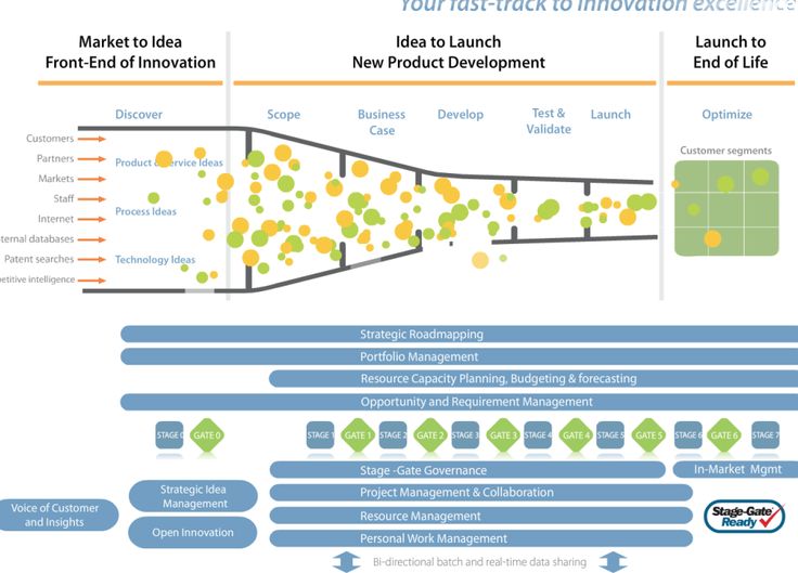 Your Fast-Track To Innovation Excellence