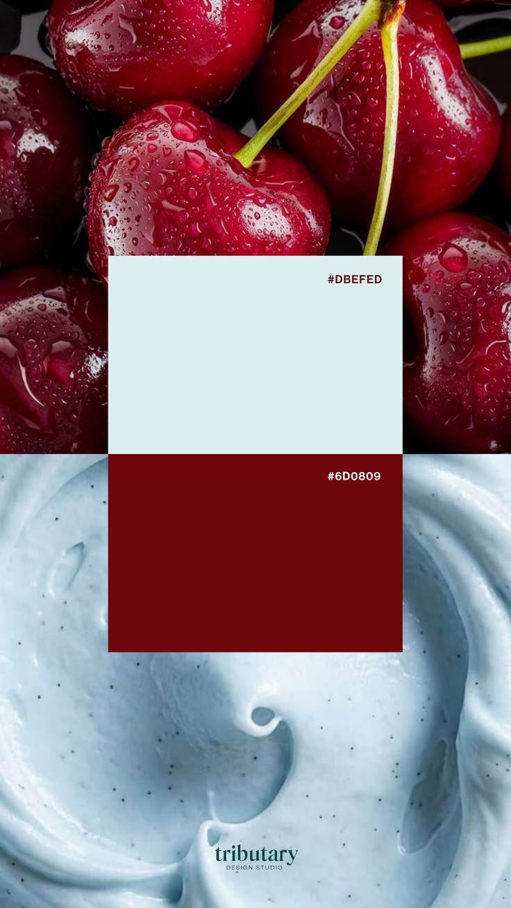 Branding ideas come alive when color tells your story with i