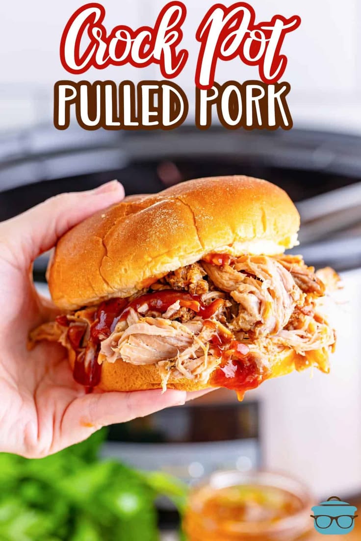a hand holding up a pulled pork sandwich in front of a slow 