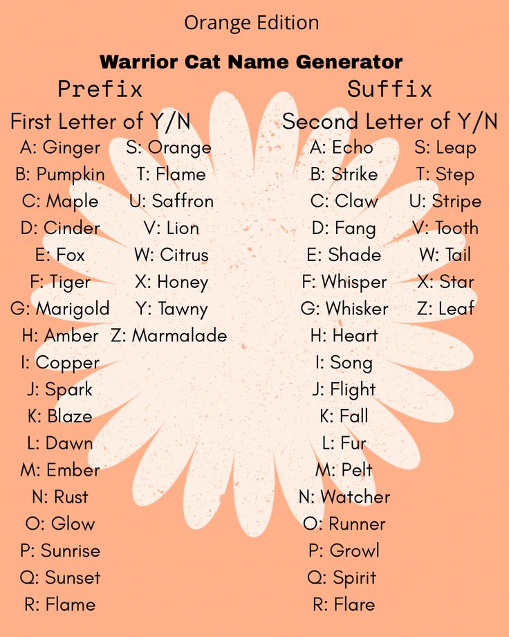 Orange time! Comments yours below #wcue #warriorcatsname #na