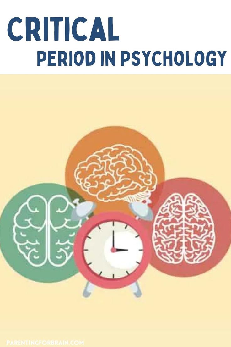 A critical period is a phase during which the brain cell con