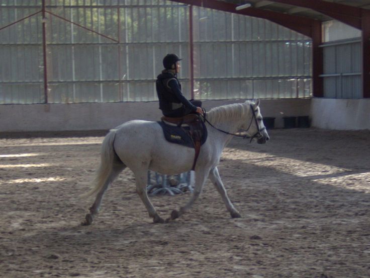 Découverte de l'équitation en amazone - Equitation monte en 