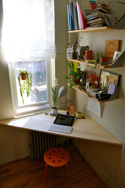 we built a desk.  (it's kinda like we bought a zoo, but not 