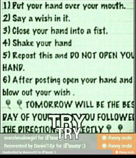I know that these are stupid and my followers prob. hate see