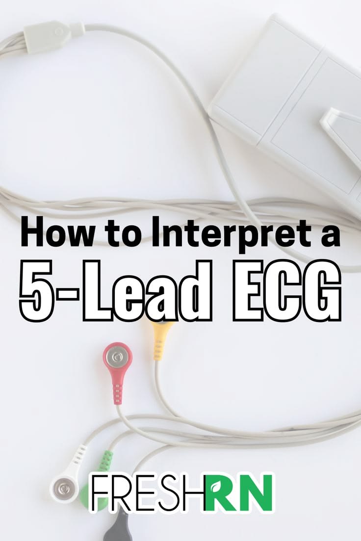 Learn how to read and interpret a 5 lead ECG like a pro with