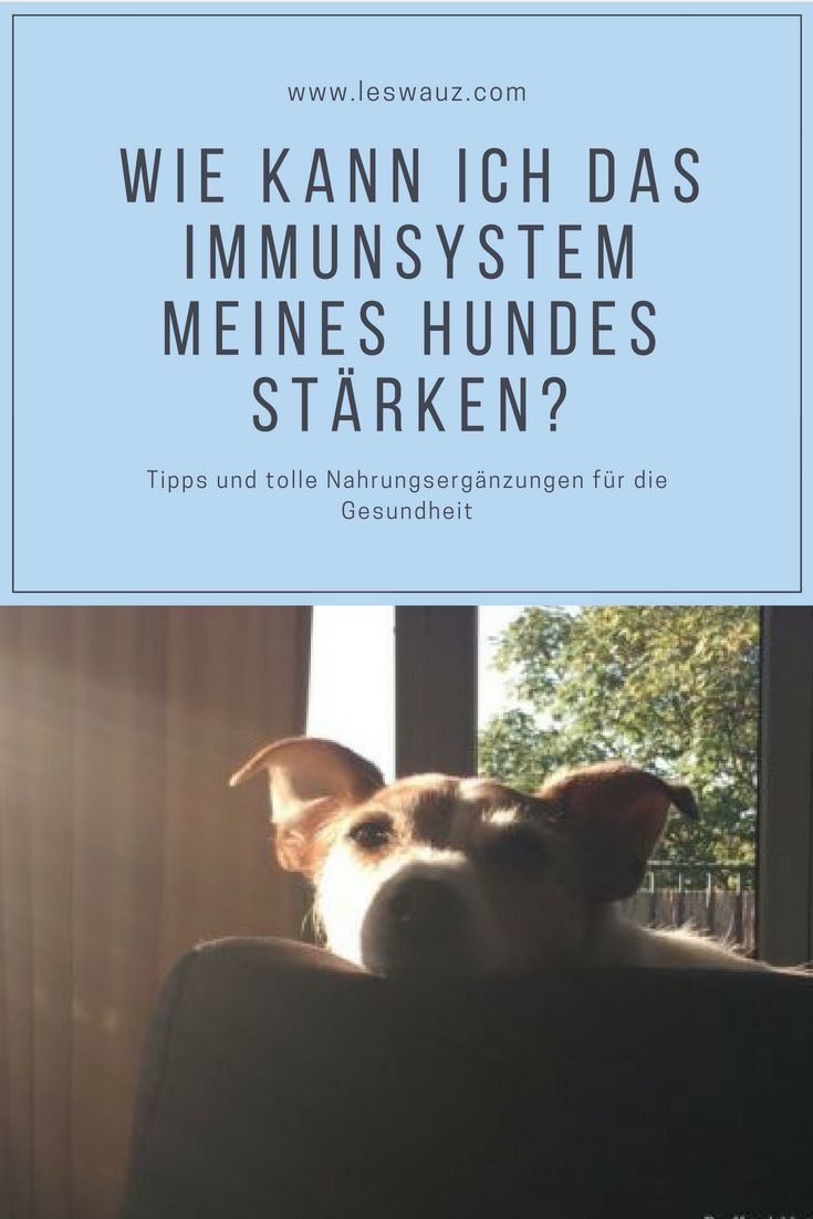 Ob nach einer Erkältung, Verletzung oder bei Magen-Darm-Prob