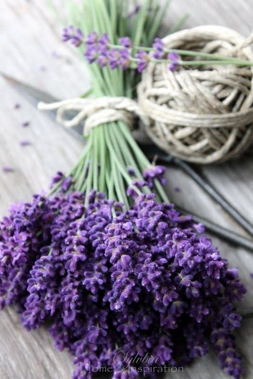 .#lavender How fragrant this bouquet is.