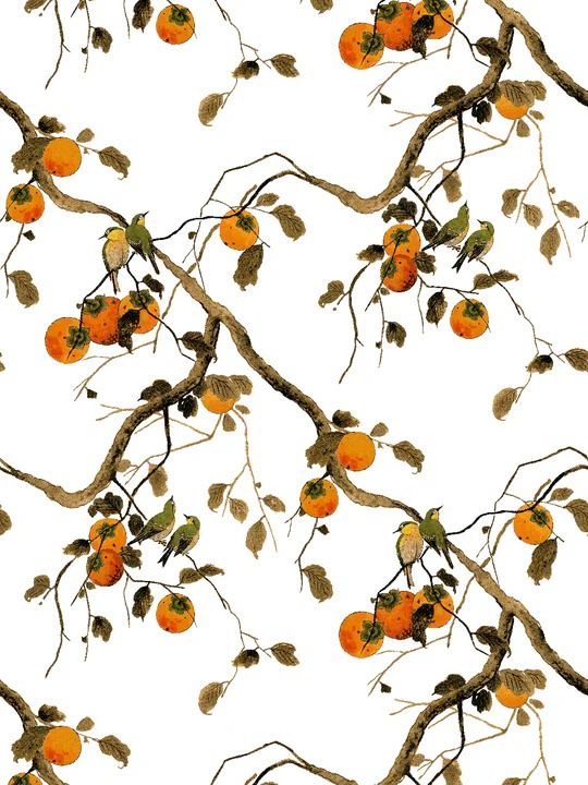 Purveyor of hip, sustainable, fun wallpaper offering traditi