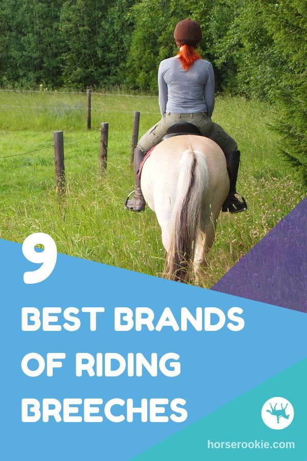 Riding breeches are more than just a fashion statement. They
