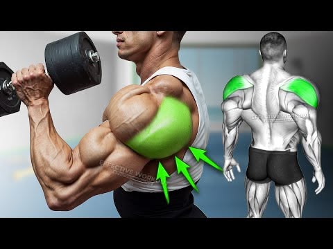 Die 5 besten Übungen für den hinteren Delta (BOULDER SCHULTE