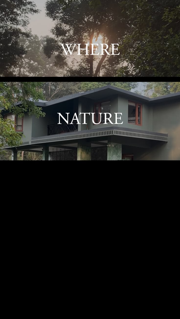 From the windows that frame the forest to handcrafted detail