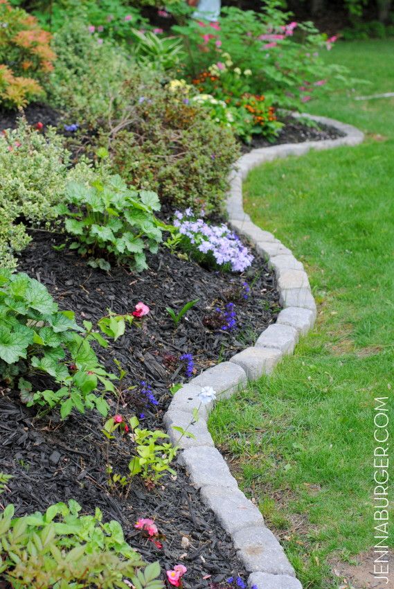 The Perfect Border for your Beds - Jenna Burger