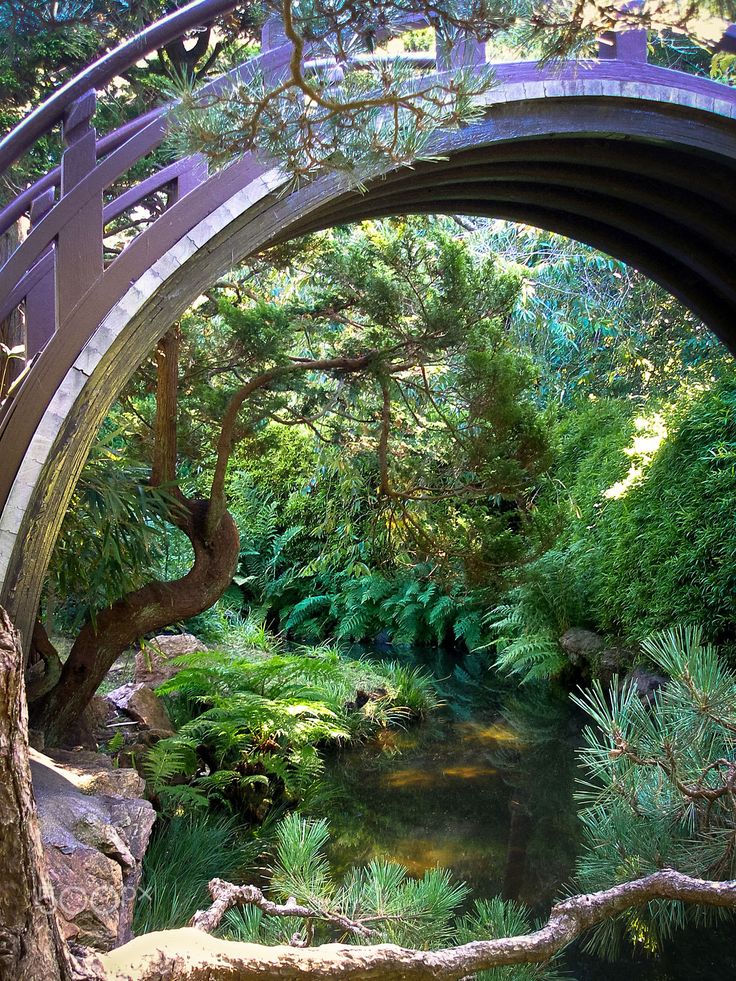 Japanese Tea Garden in San Francisco, California