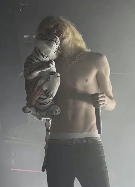 2hollis and white tiger stuffie
