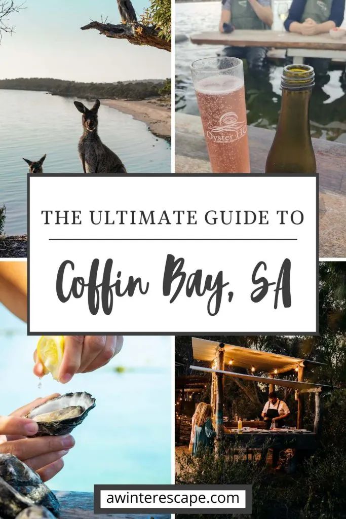 A Complete Coffin Bay, Eyre Peninsula Travel Guide
