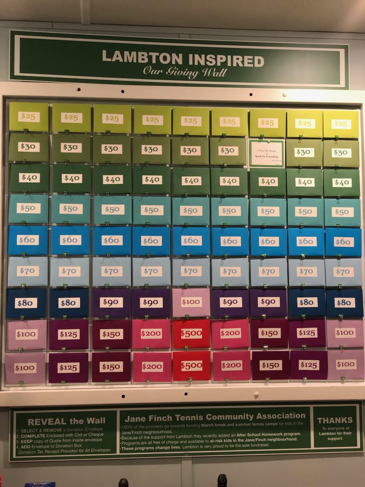 Created and designed this fundraising wall - donors 'pick' a