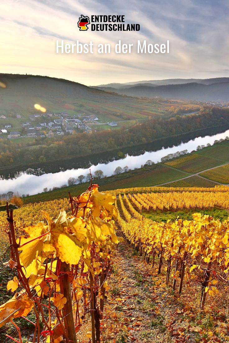 Die Region rund um die Mosel gilt als Deutschlands älteste W