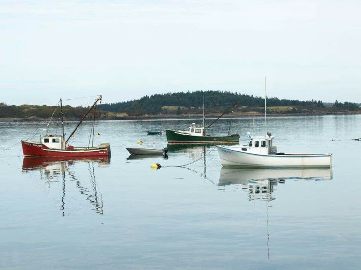Lobster Boats, Lubec Maine
