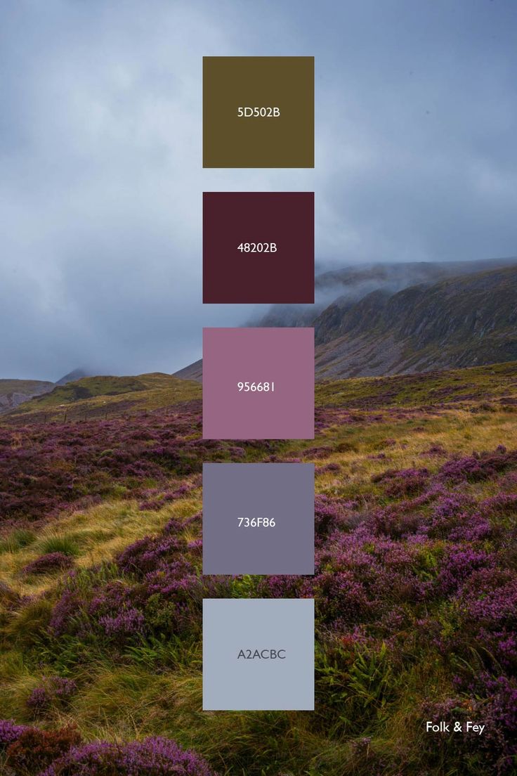 Hex Codes: 5D502B, 48202B, 956681, 736F86, A2ACBC Created by