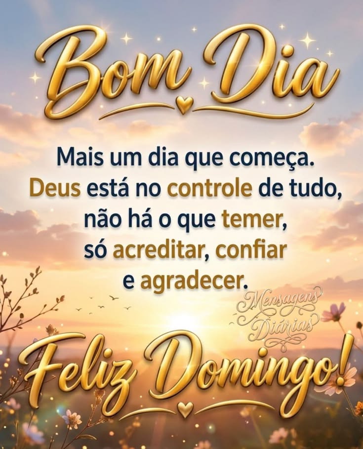 @andreiaalvestorres58