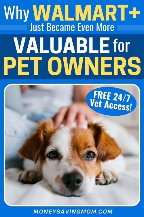 Pet emergency at 9 p.m.? 🐾 Walmart+ now includes FREE 24/7 v