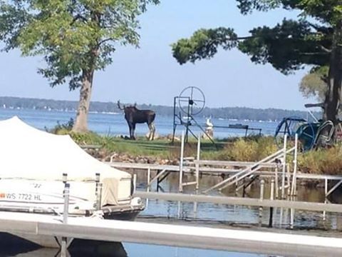 SHAWANO (WAOW) -- The Shawano County Sheriff's Office is ask