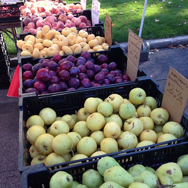 fruits